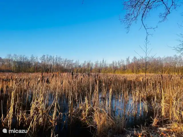 Het Korenburgerveen